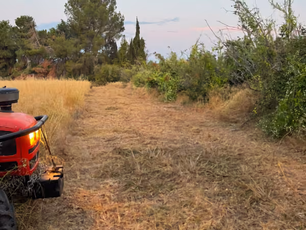 Neteja de parcel·les i terrenys a Tarragona